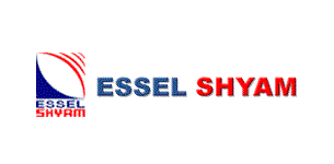 SSV FINCORP SERVICES