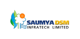 SSV FINCORP SERVICES